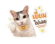 845555125