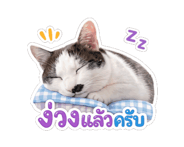 845555128