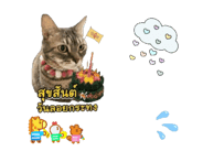 845555187