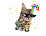 845555196