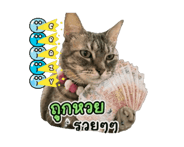 845555198