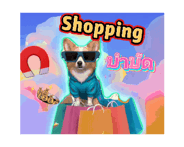 845555247