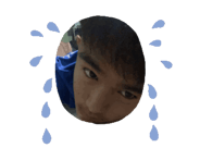 845555356