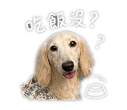 845555902