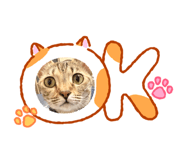 845556212