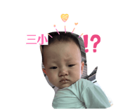 845556371