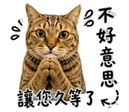 845556380