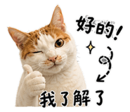 845556382
