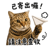 845556387