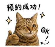 845556393