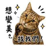 845556397