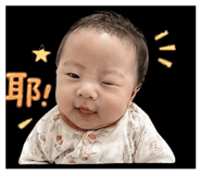 845556440