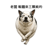 845556596