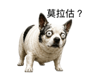 845556598