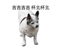 845556600