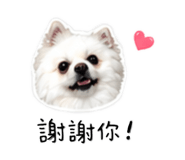 845556682