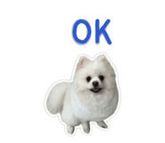 845556684