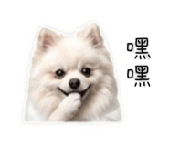 845556704