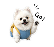 845556719