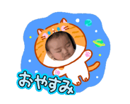 845558178