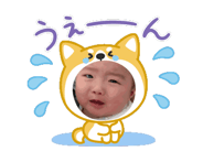 845558182