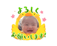 845558185