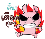 845562384