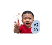 845566003