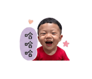 845566004