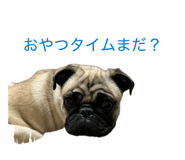 845566097