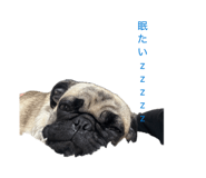 845566098