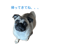 845566100