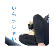 845566101