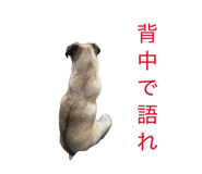 845566104