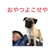 845566106