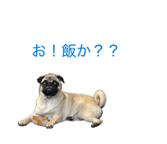 845566107