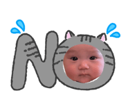 845566578