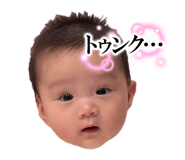 845566581