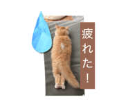 845566675