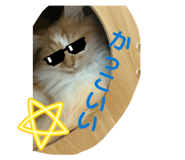 845566679