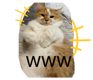 845566680