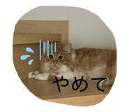 845566682