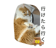 845566688