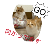 845566689