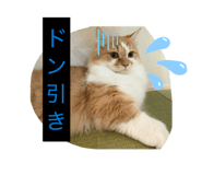 845566690