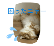 845566693