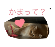 845566699