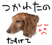 845566750