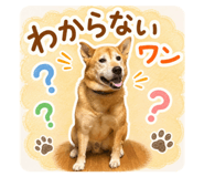 845566798