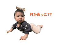 845566881